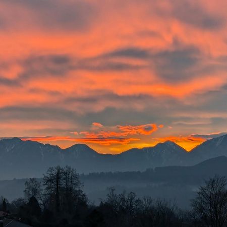 Am Eichholz Galerie & Art-Hotel Murnau am Staffelsee Eksteriør billede